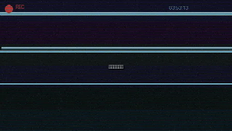 周末随拍记录 - 9.1网站 原创视频